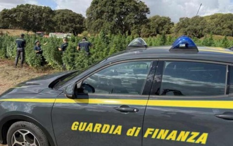 Maxi sequestro da 37 milioni per frode e caporalato